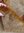 Reststück Steiff Schulte Mohair, rötl.braun, ca. 14 mm  glatter Flor - 0,25 x 0,70 m
