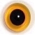 Glasaugen, Paar, transparent hellbraun (Honig) mit schwarzer Pupille
