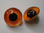 Bussardaugen, Paar, orange hintermalt mit schwarzer Pupille