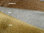 Zuschnitt Steiff Schulte Mohair, Kurzflor ca. 8 mm, sparse