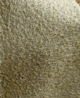 Schulte Mohair Antik-Art Ratinee, sparse, Kurzflor bicolor goldbraun ca. 6 mm - 0,39 x 0,30 m